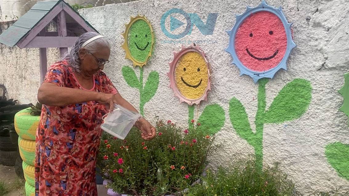 Projeto comunitário transforma lixões em jardins em Teresina